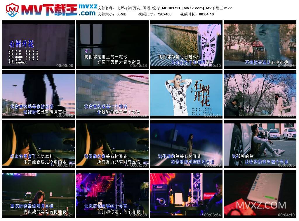 龙辉-石树开花_国语_流行_MEC01721